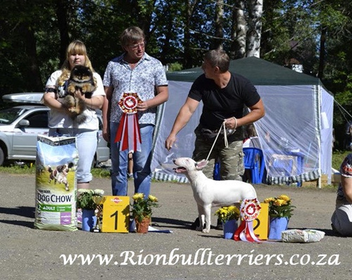 Rion Double Infinity Fifa Winner Reserve Best puppy in Show Russia